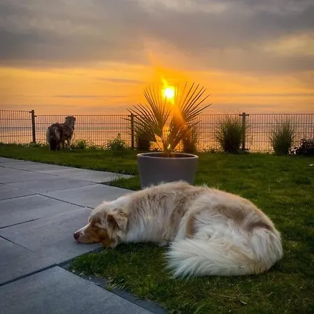 Enkhuizer Oase Erste Reihe Mit Zaun Haus Nr 248 Enkhuizen