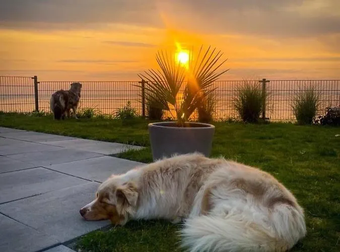 Enkhuizer Oase Erste Reihe Mit Zaun Haus Nr 248 Enkhuizen